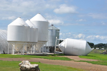 Storm Damage © Loui