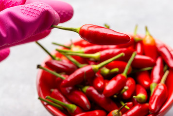 Fresh small red hot chili peppers on grey background