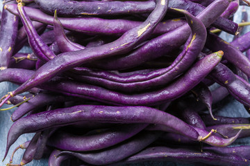 Magic colorful purple beans which turn Green after cooking, fresh healthy vegetables
