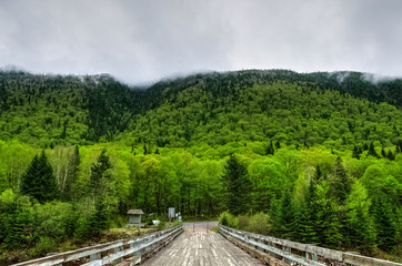 Fototapeta na wymiar Bridge across the river, vibrant spring colors in the valley, Jacques cartier national park, Quebec, Canada