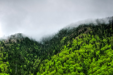 Clouds rolling over mountain's edge on a rainy Spring day, Jacques Cartier national park, Quebec, Canada