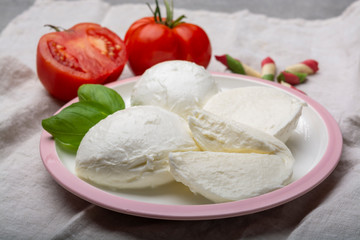 Cheese collection, balls Italian soft white cheese mozzarella