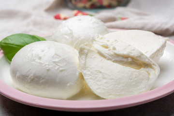 Cheese collection, balls Italian soft white cheese mozzarella