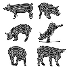 pig silhouette set, black lines on white background, vector illustration, eps 10