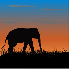 Fototapeta na wymiar Black elephant silhouette Asia walking, graphics design vector Illustration with light silhouette background