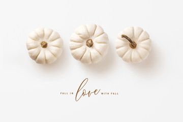 minimalist autumn / fall concept with three white pumpkins in a row and calligraphy inspired...