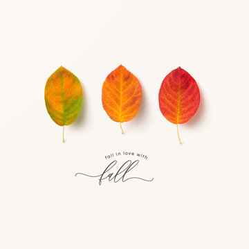 autumn / fall concept or greeting card with three colorful leaves in red, orange and yellow hues isolated on a bright beige background, calligraphy inspired text, flat lay / top view 