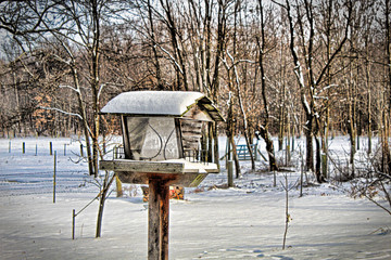 Snow Covered Bird House