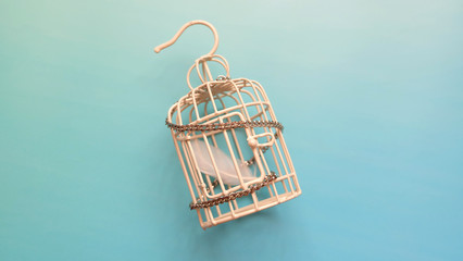 A single white feather inside a small metal bird cage, with metal chain wrapped around the cage.