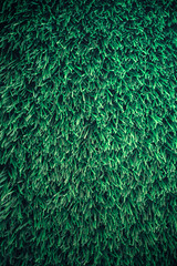 Artificial green grass texture background