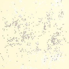 Yellow background with many small silver stars.