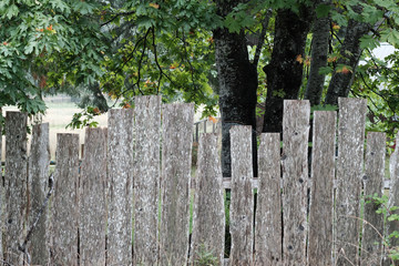 Holzzaun Photos Royalty Free Images Graphics Vectors Videos Adobe Stock