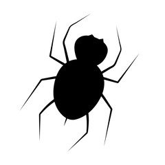 Black spider isolated. Vector drawing. Element of Halloween.