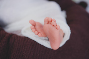 small feet of newborn baby