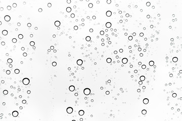 Fototapeta premium Rain drops on window glasses surface Natural Pattern of raindrops. Natural pattern of raindrops on white background for your design.