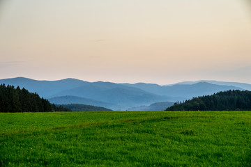 Germany, Stunning endless green nature landscape of black forest tree covered mountains in foggy afterglow light after sunset in summer behind green meadow