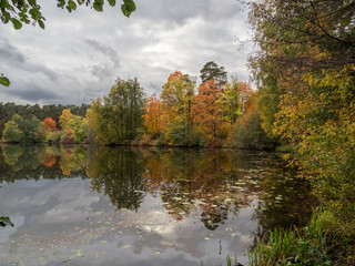 Obraz premium Autumn, river, trees.