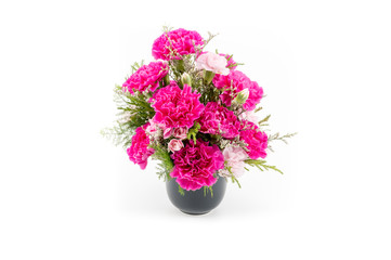 Pink carnation flowers in black vase, isolated on white