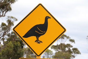 Traffic Sign for Petrophassa in Western Australia