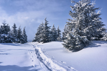 Fototapeta na wymiar Walking trail buried under snow in the Jizera Mountains in Poland.