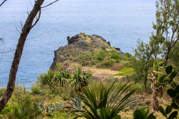 Direction l'océan