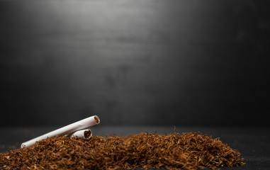Raw tabaco on black wood background with copy space for text