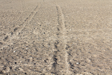 tire tracks converging in the distance on a sandy beach
