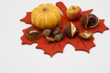 Festliche Dekoration mit Kürbis, Kastanien und Eicheln auf weißem Hintergrund für Thanksgiving...