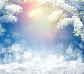 Fototapeta na wymiar Beautiful snowy winter landscape with a snowy fir branch, snowflakes and blue sky. Winter christmas background.