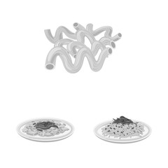 Isolated object of pasta and carbohydrate symbol. Set of pasta and macaroni stock vector illustration.