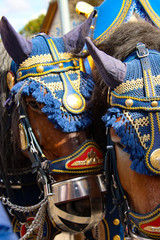 Oktoberfest - Wiesn 2019