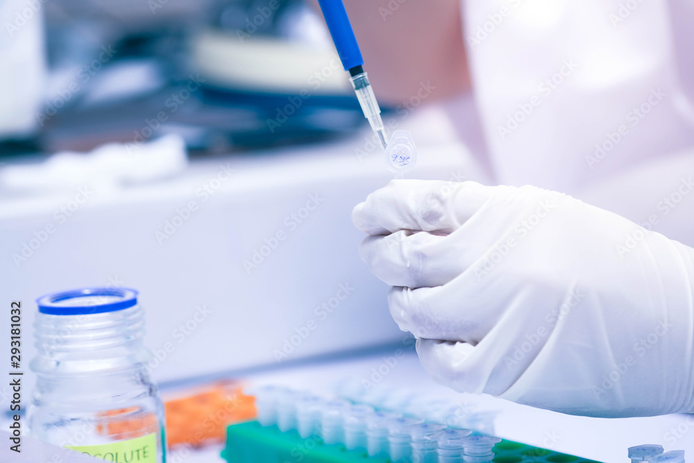 Wall mural scientist using auto-pipette with eppendorf consumables tube in the lab,doing experiment for product