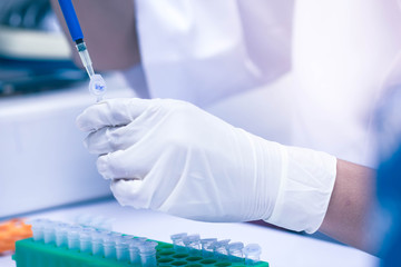 scientist using auto-pipette with Eppendorf consumables tube in the lab,Doing experiment for...
