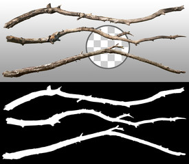 Cut out dead branches. Dry tree branch isolated on transparent background. Branch fallen to the...