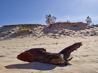 Holz Strand und Dünen an der Frischen Nehrung Ostsee Polen