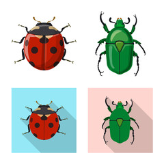 Vector design of insect and fly symbol. Set of insect and element vector icon for stock.