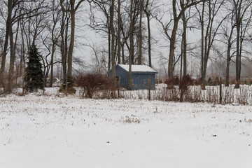 Snow Covered Field With Shed In Background