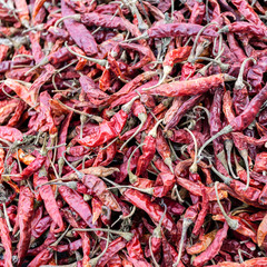 Fototapeta premium Hot chilli peppers on a market in Mexico. Pile of dried red chillies pepper