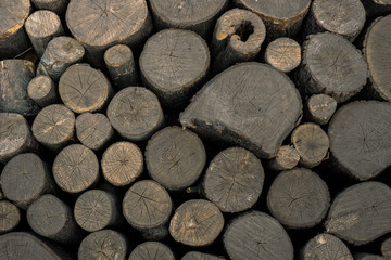 neatly stacked round wooden logs