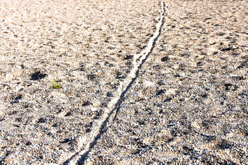 bicycle tire track on a sandy beach