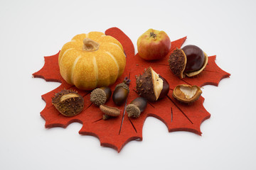 Festliche Dekoration mit Kürbis, Kastanien und Eicheln auf weißem Hintergrund für Thanksgiving...
