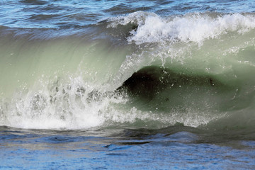 Fototapeta premium A green wave breaking near the shore of a sandy beach