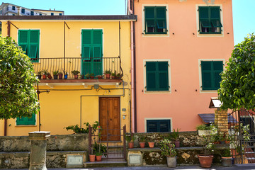 Fototapeta na wymiar Old traditional Italian house with wooden windows green shutters, flowerpots with flowers and a tangerine tree near the gate, in Riomaggiore village, Cinque Terre, Liguria, Italy