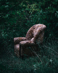 An old armchair in a deep forest.