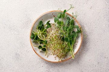 Fresh variety micro greens sprouts