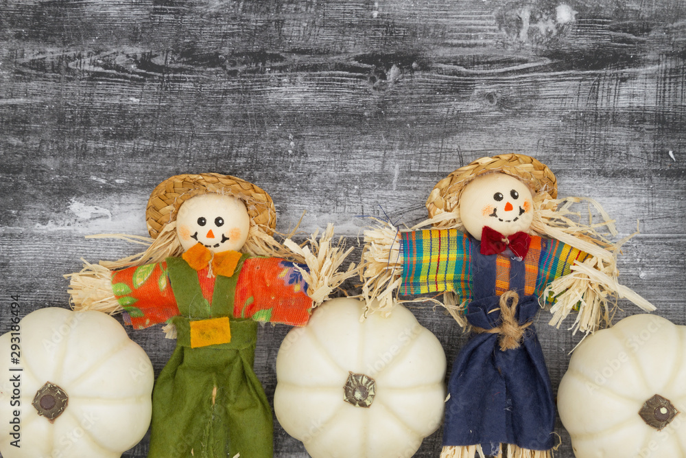 Wall mural White pumpkins with fall scarecrows on weathered black grunge wood textured background - Wall murals