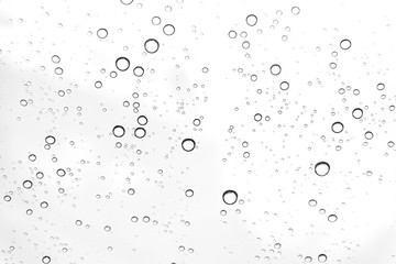 Fototapeta premium Rain drops on window glasses surface Natural Pattern of raindrops. Natural pattern of raindrops on white background for your design.