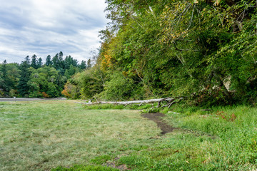 Priest Point Park Shoreline