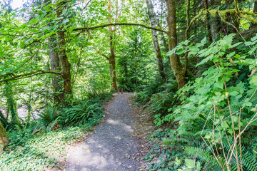 Priest Point Park Trail 2