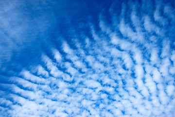 details sky with clouds algae